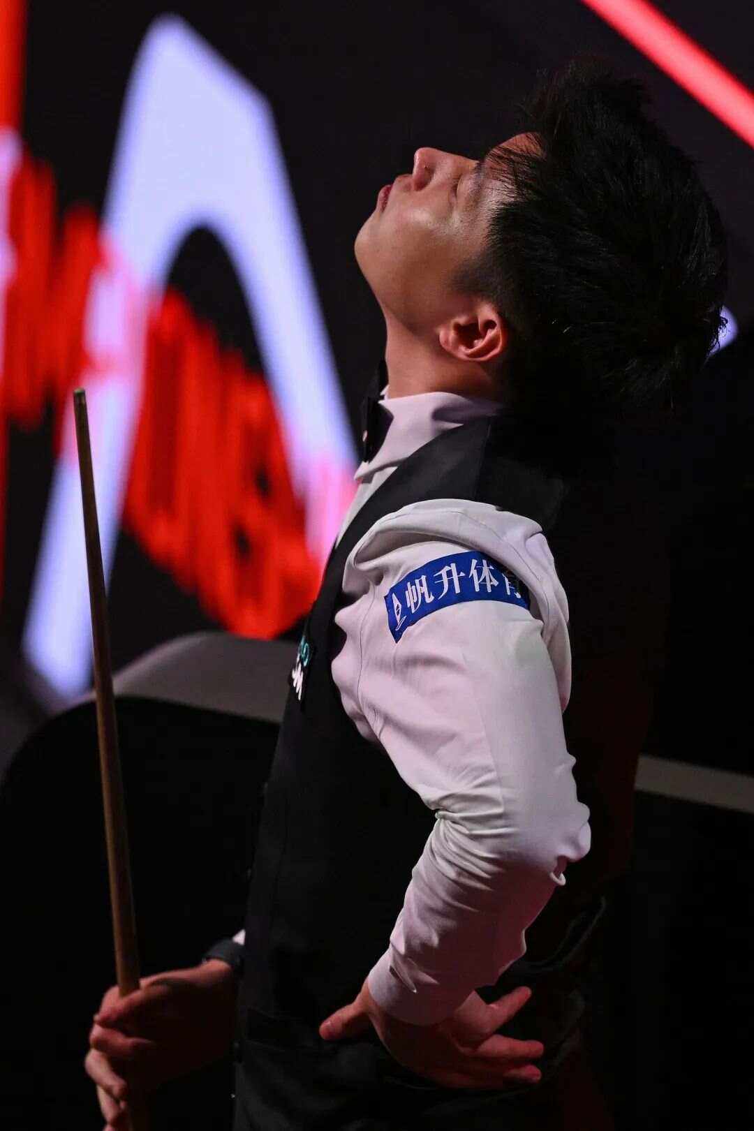 向鹏的稳健 向鹏的稳健