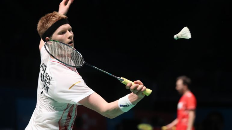 态的发展 态的发展